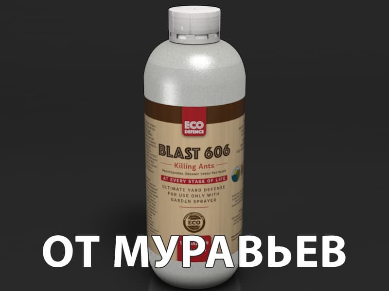 Blast 606 1 л